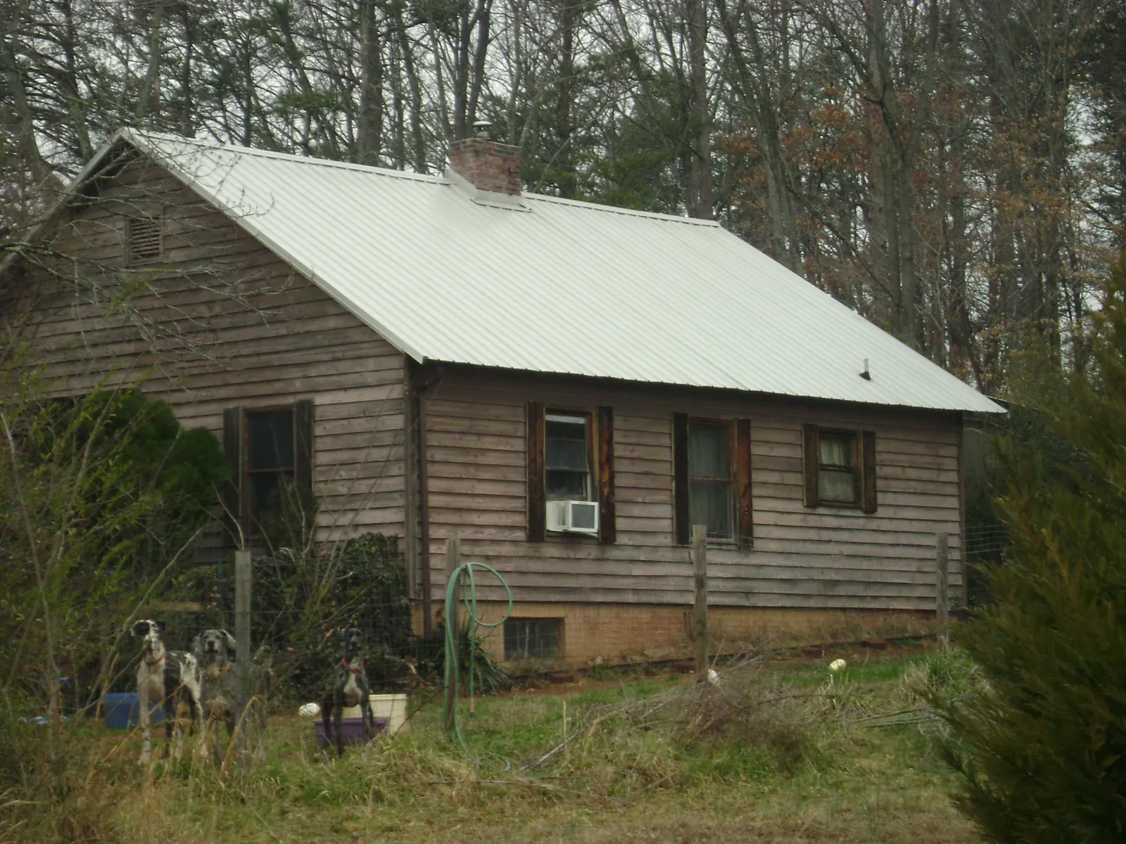 White metal roof on an old wood sided farmhouse, from a Asphalt Shingle Roof Repair job in Otis